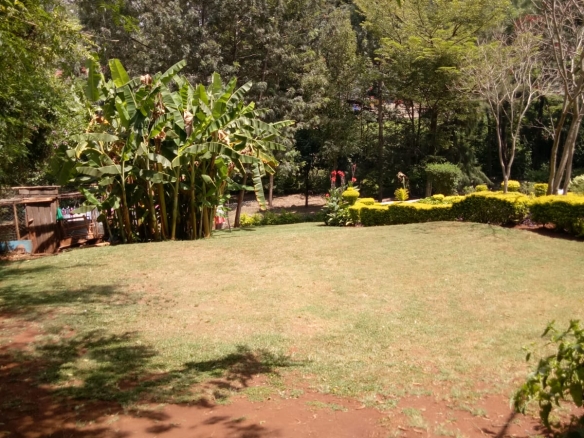 WhatsApp Image 2024 02 19 at 19.59.48 1