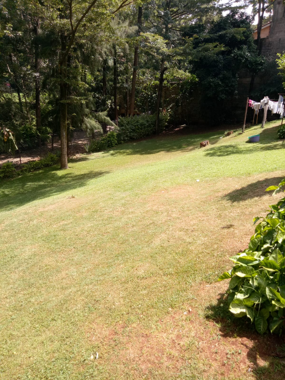 Prime 0.75-Acre Plot of Land for Sale in Lavington