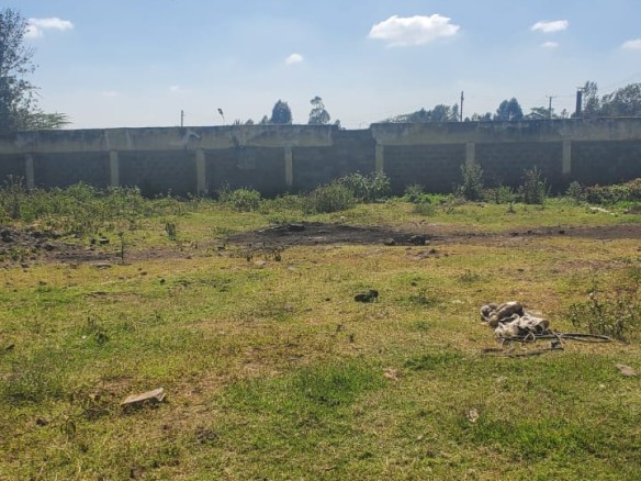 Versatile 0.75-acre Land For Sale in Dagoretti