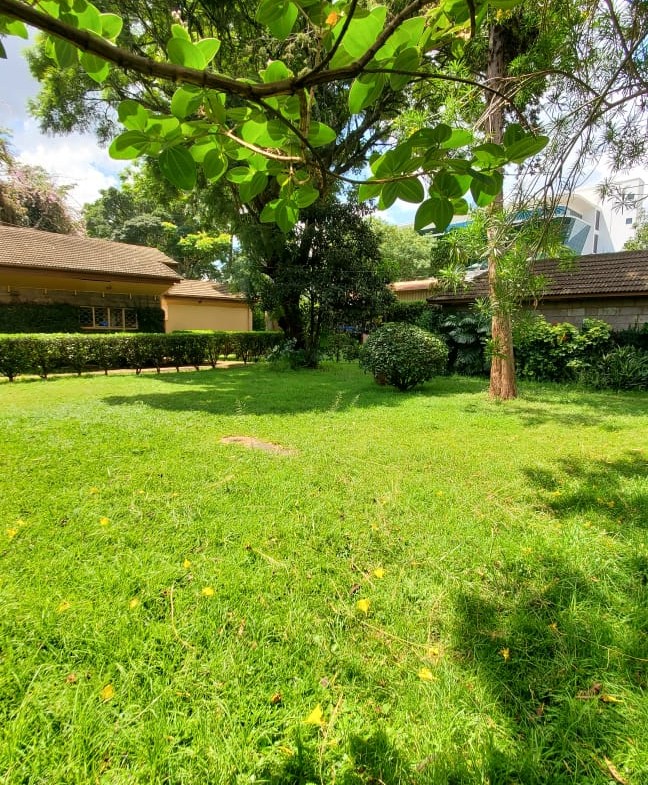 Accessible Prime 1-Acre Plot of Land for Sale in Lavington