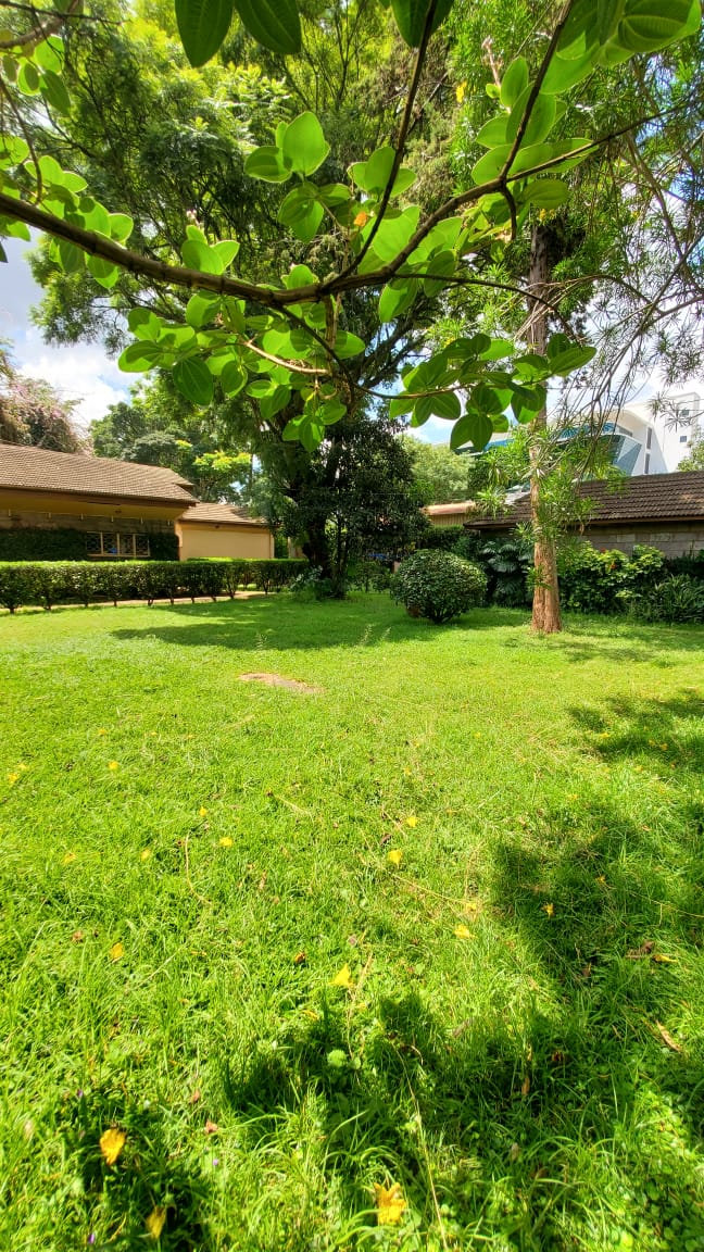 Accessible Prime 1-Acre Plot of Land for Sale in Lavington