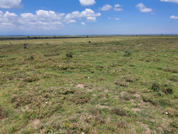 Prime 5 Acre Plots in Segera Nanyuki for Development