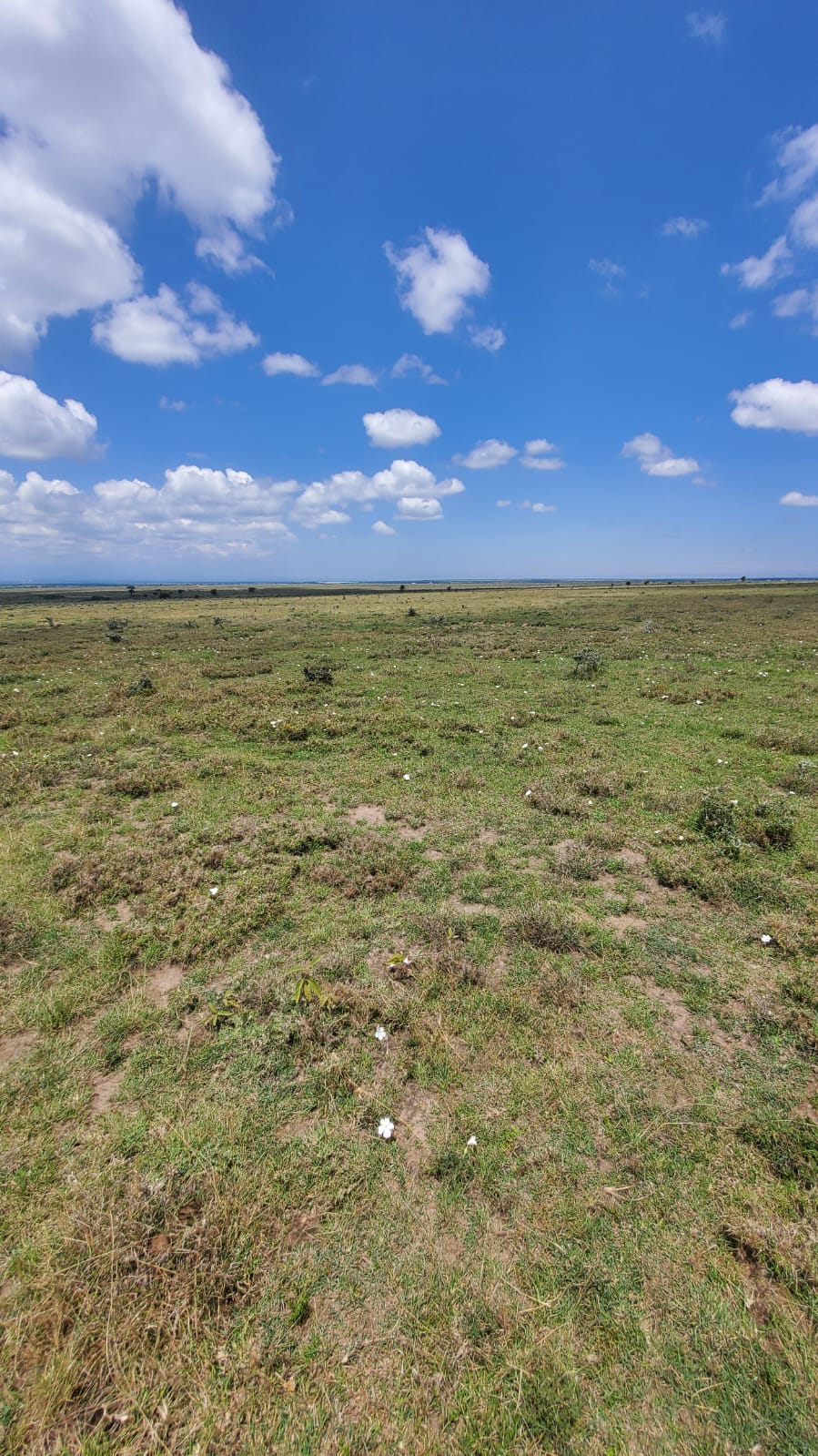 Prime 5 Acre Plots in Segera Nanyuki for Development