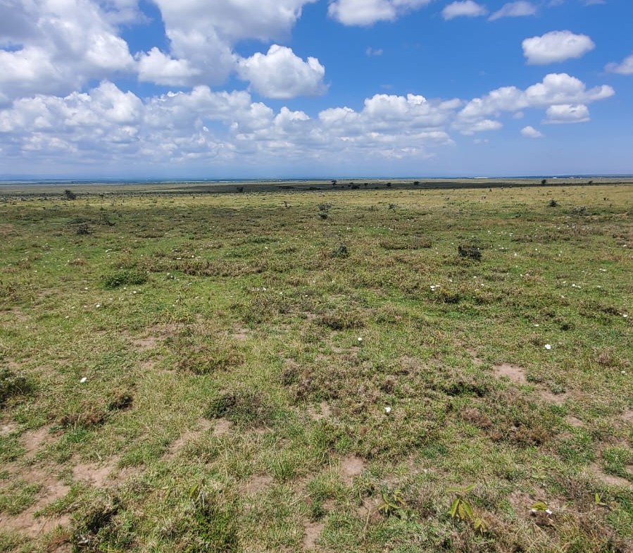 Prime 5 Acre Plots in Segera Nanyuki for Development