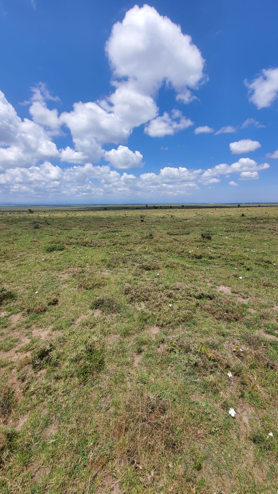 Prime 5 Acre Plots in Segera Nanyuki for Development