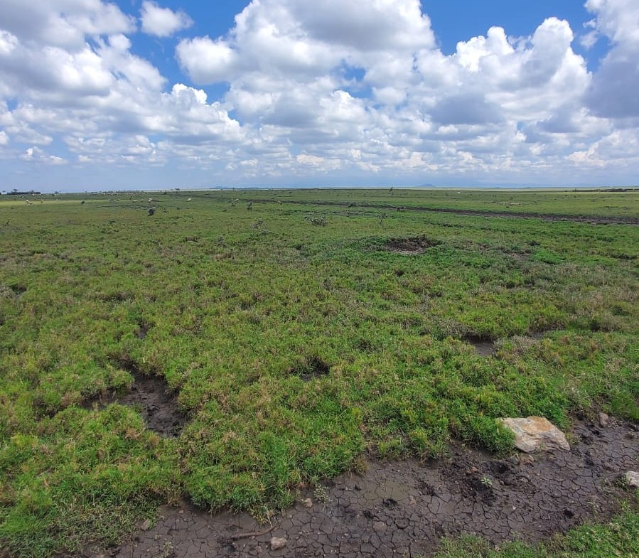 Prime 7 Acre Plots in Segera Nanyuki for Development