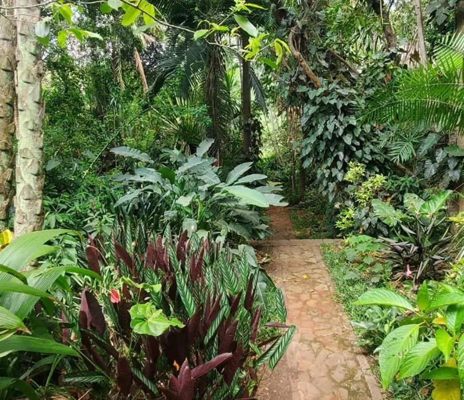 Prime 1.25 Acre Plot of Land for Sale in Peponi Westlands