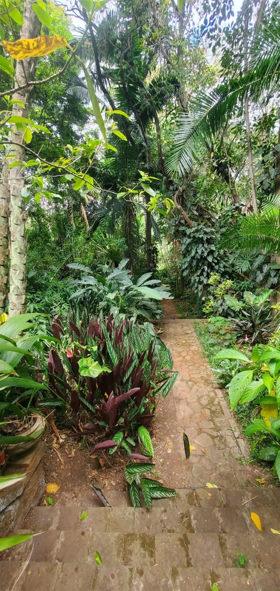 Prime 1.25 Acre Plot of Land for Sale in Peponi Westlands