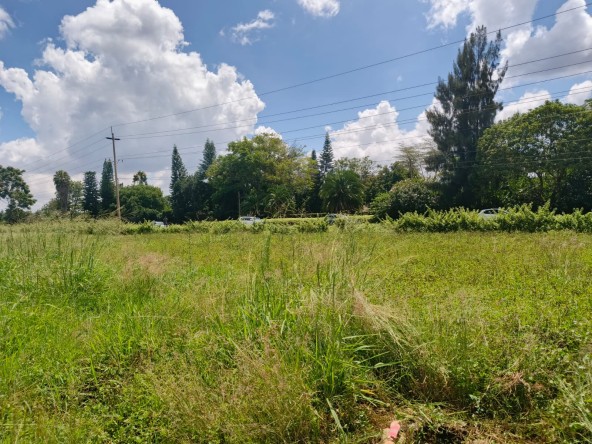 Strategic Two 1 Acre Plots of Land Touching The Road For Rent in Rosslyn
