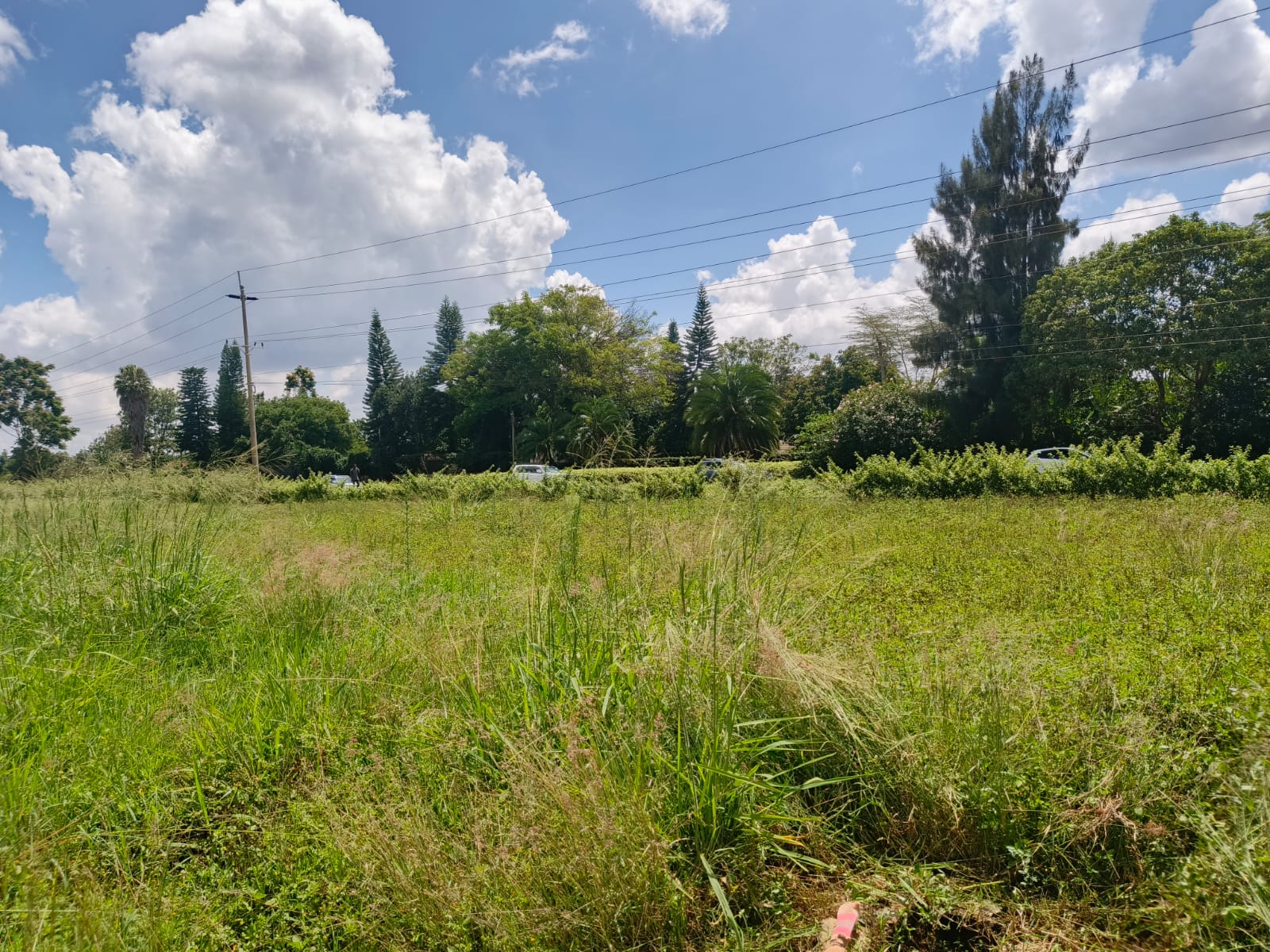 Strategic Two 1 Acre Plots of Land Touching The Road For Rent in Rosslyn